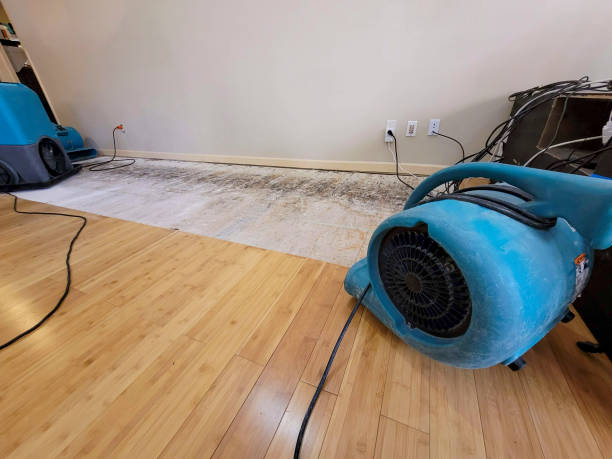 Professional Water Damage Repair technician working in Batesville, IN